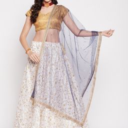 Clora Creation Net Dupatta with Sequinned-27