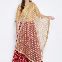 Clora Creation Gold-Toned Embroidered Net Dupatta With Sequinned-14