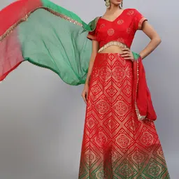 AKS Red Woven Design Ready to Wear Lehenga & Blouse With Dupatta-picture-25