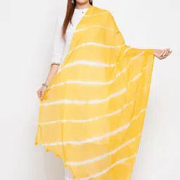 Clora Creation Women Yellow & Off White Striped Dupatta-picture-19