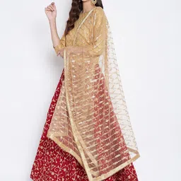 Clora Creation Gold-Toned Embroidered Net Dupatta With Sequinned image 4