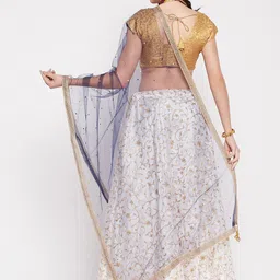 Clora Creation Net Dupatta with Sequinned image 2