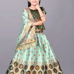 BAESD Girls Woven Design Zari Ready to Wear Lehenga & Blouse With Dupatta-picture-11