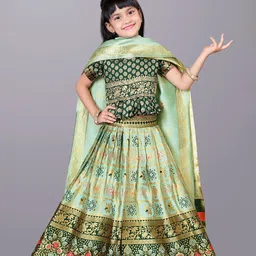 BAESD Girls Woven Design Zari Ready to Wear Lehenga & Blouse With Dupatta-picture-10