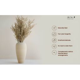 ArteCasa Dried Flower Limonium Natural-picture-16