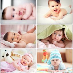 Pack of 6 Adorable Baby Posters | For Pregnant Women, Decorative | HD, Each Poster Size- Paper Print-21