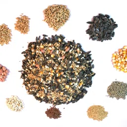 Macaws, Cockatoo, Big Parrots, Nuts 0.5 kg Dry Adult, Young, New Born Bird Food-12