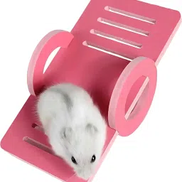 Hamster Foam See-Saw Toy – Safe, Durable & Fun Playtime Accessory for Small Pets Fiber Training Aid, Rubber Toy For Hamster-image-67