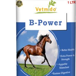 B-Power - Vitamin B Complex Supplement For All Classes of Horses - 1 Ltr Pet Health Supplements-41