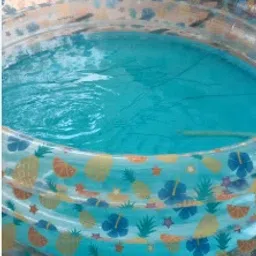 Inflatable Pool Fruit (IND*95) | Swimming Pools Inflatable Swimming Pool-image-15