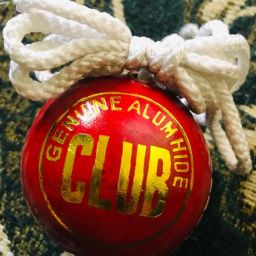 Leather Cricket Hanging Ball , Red, for Cricket Shot Practice , 1 Ball re124 Cricket Training Ball-image-57