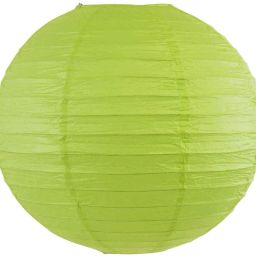 Green Paper Hanging Lantern-image-67