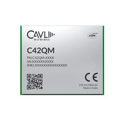 Cavli Wireless C42QM LTE Cat M1/ NB-IoT Module image 1