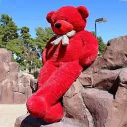 5 Feet Large (Standing) Cute Soft Teddy Bear For Gift & Bithday Partys Other- 150 cm-image-71