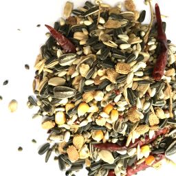 Premium Macaws, Cockatoo, Big Parrots, Large Parrots and African Grey Parrot Bird Food Mix - 500 GMS Nuts 0.5 kg Dry Adult, Young, Senior Bird Food-17