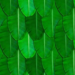 Backdrop Decoration (5ft X 8ft) cloth-image-10
