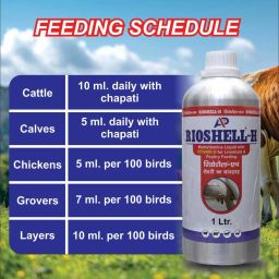 rioshell Veterinary Vitamin H Specially Udder Growth with Vitamin H, A, D3, E, C, K - 1 L Pet Health Supplements image 4