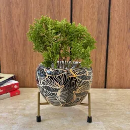 hanable india Black and White Iron Metal Desk Pot-picture-29