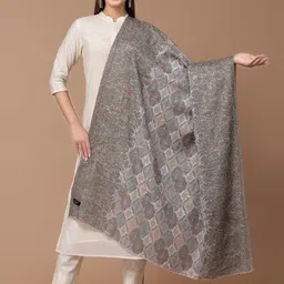 SWI Stylish Paisley Embroidery Aari Work Shawl-image-34