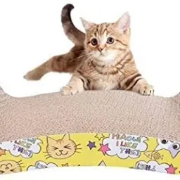Cat Scratching Pad-7