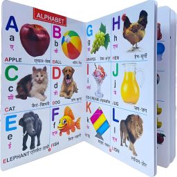 All in one for Pre-nursery to Primary Kids (My Favourite Big Plastic Board Book)-20