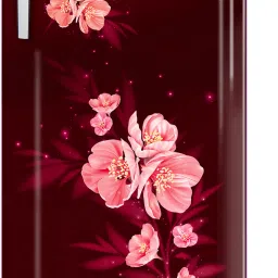 180 L Direct Cool Single Door 5 Star Refrigeratorwith Jumbo Vegetable Tray, Faster Cooling And Ice Making-image-75
