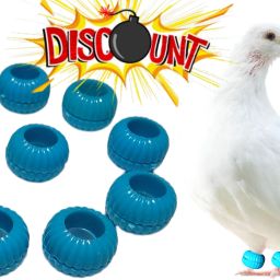 Pigeons Plastic Foot Rings Pack Of 10 Bird Shoulder Guard-17