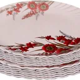 SMART MODEL NO-510 FULL (10 INCH) AND HALF(7 INCH) DINNER PLATE SET 12 PCS OF MELAMINE Dinner Plate-11