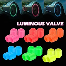 Plastic Tyre Valve Cap for Car-picture-24