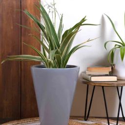 harla arts Love Bite (Large) Grey Porcelain Floor Planters-picture-14