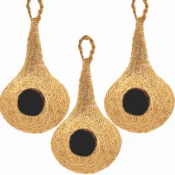 safest round organic bird nest pack of 3 Bird House-picture-29