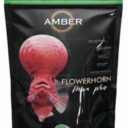 Amber 100g Flowerhorn Max Pro Fish Food 0.1 kg Dry Adult, Young, Senior Fish Food 0.1 kg Dry Young, New Born Fish Food-image-40