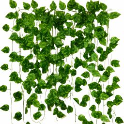 Money Creeper Pack of 2 ,For Home|Office|Garden|Decoration Artificial Plant-16