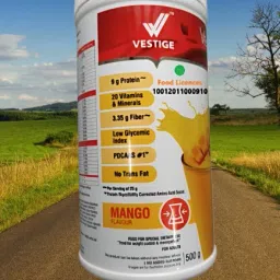 Vestig Mango Flavour Shake Nutrition Drink-image-83