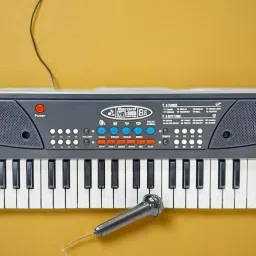 A342 Kids Piano Keyboard, Piano for Kids with Microphone Portable Electronic A342 Kids Piano Keyboard, Piano for Kids with Microphone Portable Electronic Analog Portable Keyboard-13