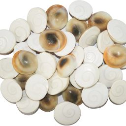 Gomathi Chakra | Chakram for Lakshmi Pooja, Wealth, Luck, Astrology (Pack of 5) Decorative Showpiece - 7 cm-image-20