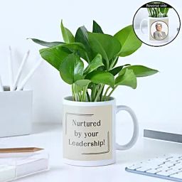 Money Plant Gift Set For Boss Day-image-28