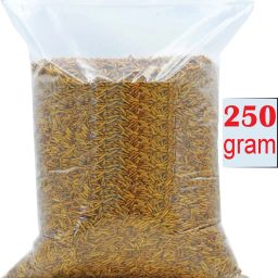 Dried Black Soldier Fly Premium Aquarium Fish Food for Arowana Flowerhorn Turtle Mealworm, Meat, Fish 0.25 kg Dry Adult, New Born, Senior, Young Hamster Food-image-48