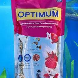 Highly Nutritious Natural Fish food 100g Pack of Two 2x100g=200g Shrimp 0.2 kg (2x0.1 kg) Dry Adult, New Born, Senior, Young Fish Food-image-29