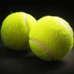 Cricket Tennis Ball Florescent Green Pack of 2 Tennis Ball-image-13
