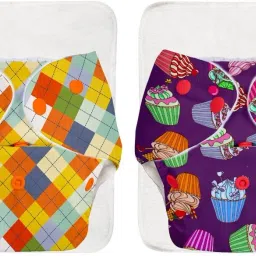 BASIC 2 Cloth Diapers Washable & Reusable for 3M-3Y (2 Shells + 2 Inserts)-image-73