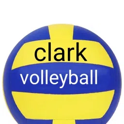 super fast volleyball size 4 Volleyball - Size: 4-picture-26