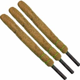 GCI Agro - Set of 3 - Coco Pole - Moss and Coir Stick for Indoor - Outdoor,House Plant Creepers Support CP003 (3FT) Garden Mulch-image-54