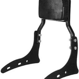Passenger Backrest-picture-20