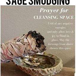 essencioshop Indian White sage 4 inches 25 gm Sage image 5