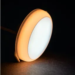 Ceiling Light Ceiling Lamp-21