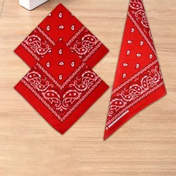 Kuber Industries Pack Of 4 Red Printed Cotton Handkerchief-image-30
