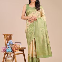 Astita Woven Design Zari Banarasi Saree-image-64
