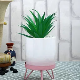 Myntra Elegant Homes Green 1 Pieces Artificial Plant With Pot-picture-41