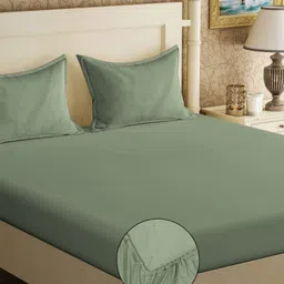 Aura Green 300 TC Pure Cotton King Bedsheet with 2 Pillow Covers 2.50 m x 2.25 m-image-59